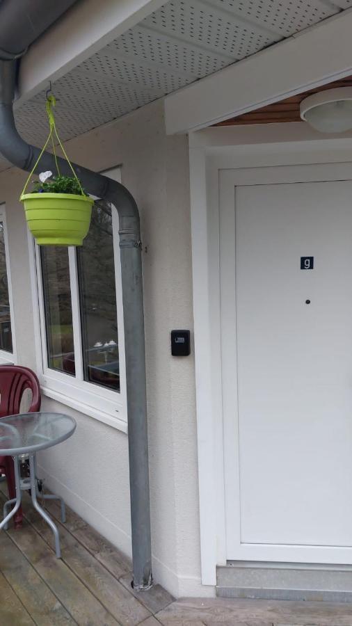 Ferienwohnung Am Stadtwald Фрайберг Екстериор снимка