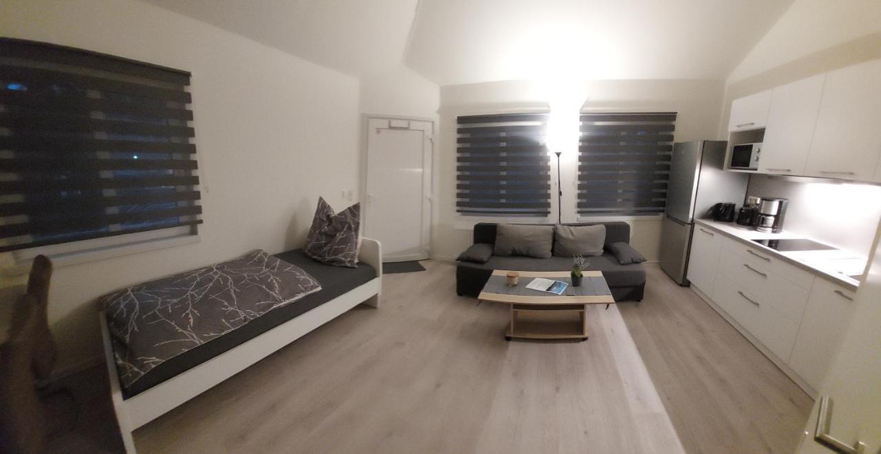 Ferienwohnung Am Stadtwald Фрайберг Екстериор снимка